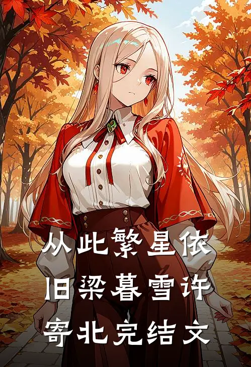 从此繁星依旧梁暮雪许寄北完结文