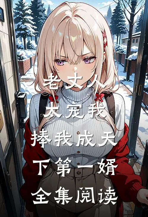 老丈人太宠我，捧我成天下第一婿全集阅读