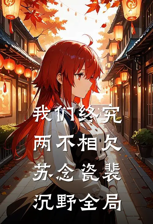 我们终究两不相欠苏念瓷裴沉野全局