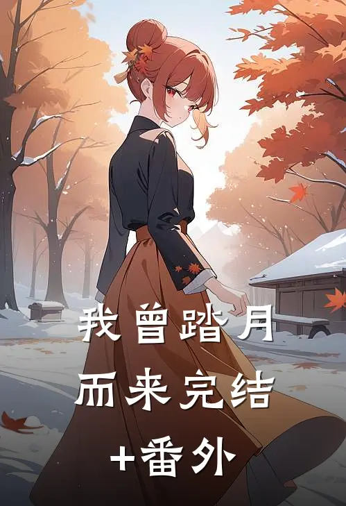 我曾踏月而来完结+番外