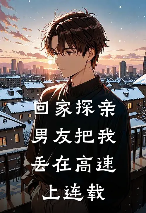 回家探亲，男友把我丢在高速上连载