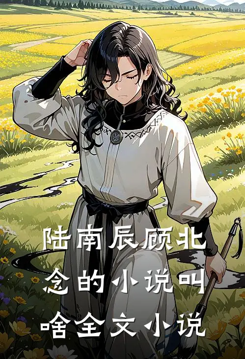 陆南辰顾北念的小说叫啥全文小说