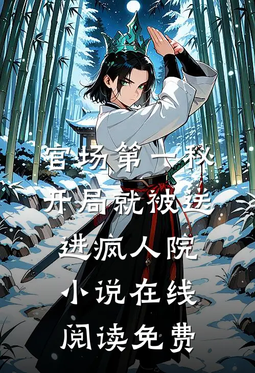 官场第一秘：开局就被送进疯人院小说在线阅读免费