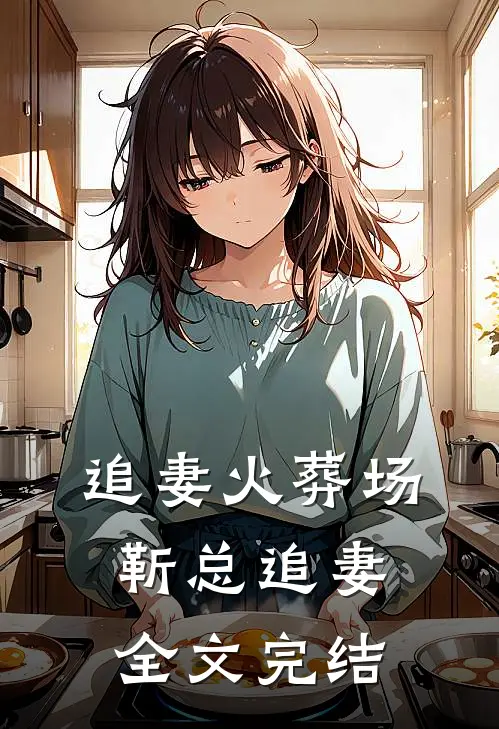 追妻火葬场靳总追妻全文完结