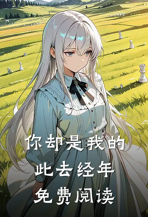 你却是我的此去经年免费阅读