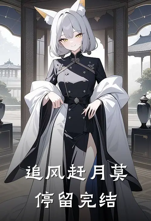追风赶月莫停留完结