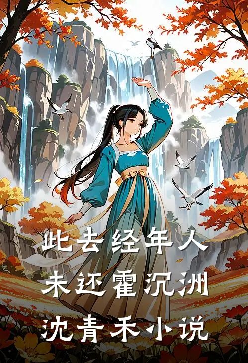 此去经年人未还霍沉洲沈青禾小说