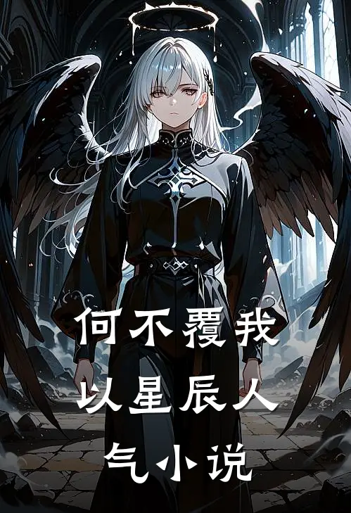 何不覆我以星辰人气小说