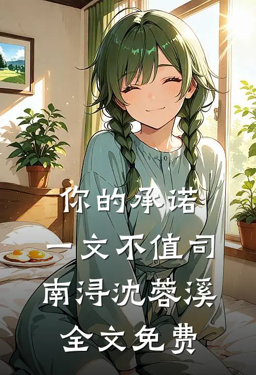 你的承诺，一文不值司南浔沈蓉溪全文免费