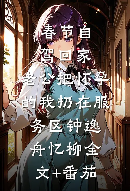 春节自驾回家，老公把怀孕的我扔在服务区钟逸舟忆柳全文+番茄