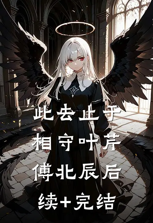 此去止于相守叶芹傅北辰后续+完结