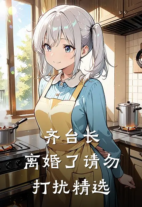 齐台长，离婚了请勿打扰精选