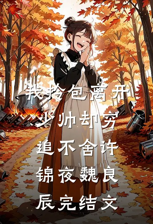 我拎包离开，少帅却穷追不舍许锦夜魏良辰完结文