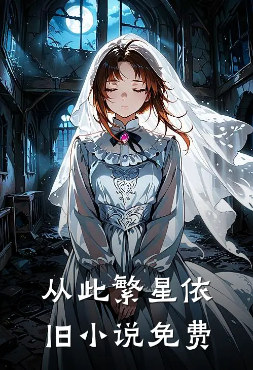 从此繁星依旧小说免费