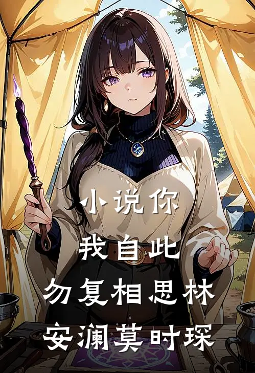 小说你我自此，勿复相思(林安澜莫时琛)