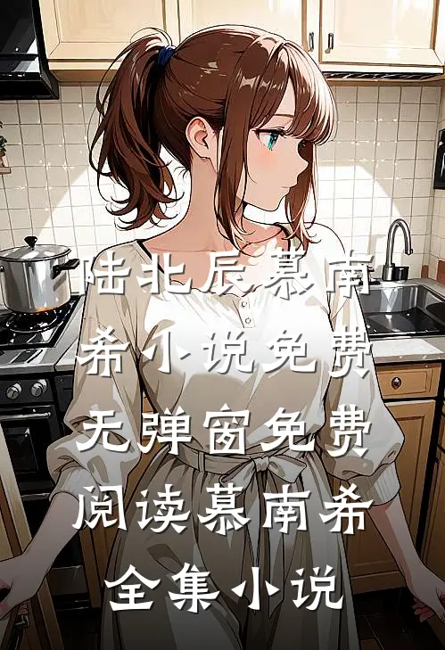 陆北辰慕南希小说免费无弹窗免费阅读慕南希全集小说