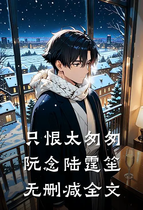 只恨太匆匆阮念陆霆笙无删减全文