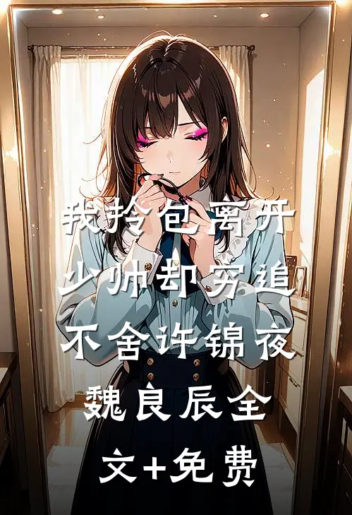 我拎包离开，少帅却穷追不舍许锦夜魏良辰全文+免费