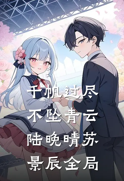 千帆过尽，不坠青云陆晚晴苏景辰全局