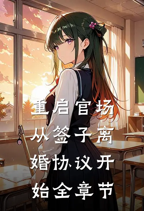 重启官场：从签子离婚协议开始全章节