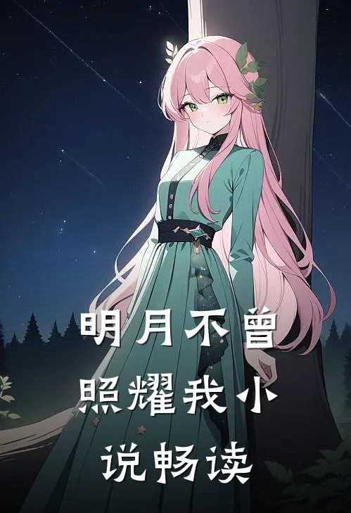 明月不曾照耀我小说畅读
