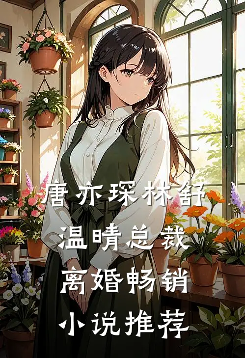 唐亦琛林舒温晴总裁离婚畅销小说推荐