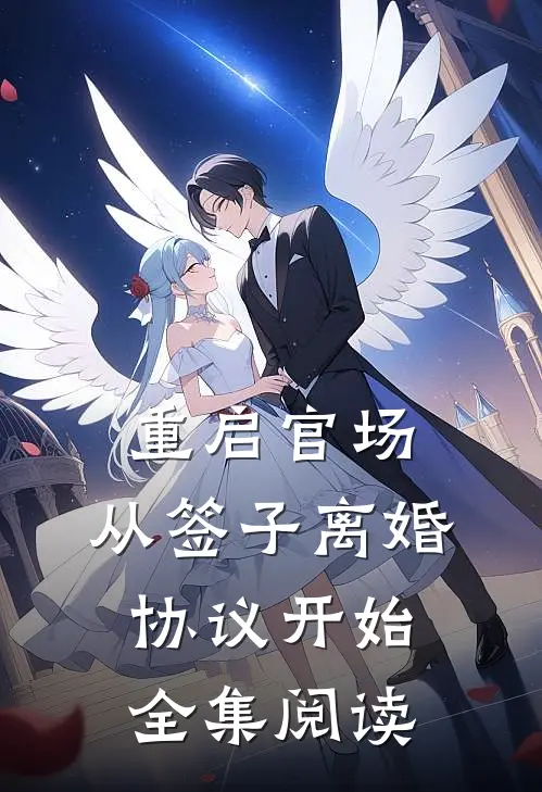 重启官场：从签子离婚协议开始全集阅读