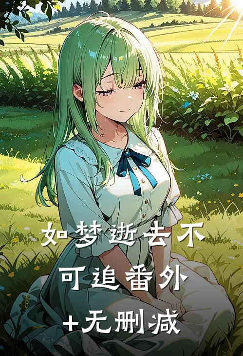 如梦逝去不可追番外+无删减