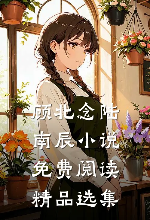 顾北念陆南辰小说免费阅读精品选集