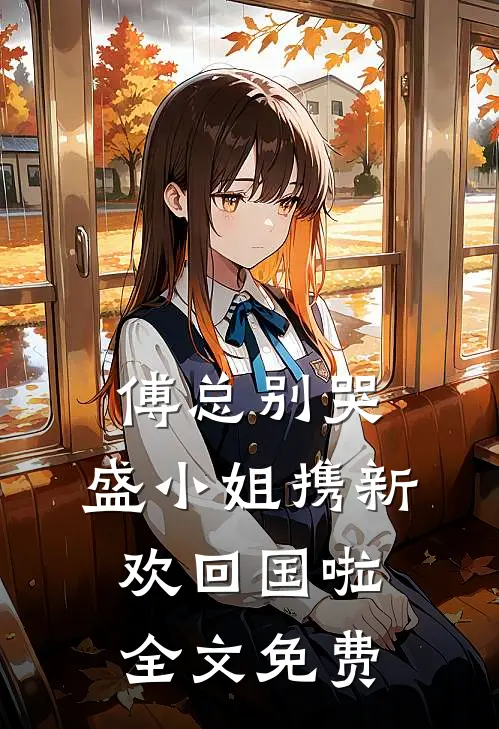 傅总别哭，盛小姐携新欢回国啦全文免费