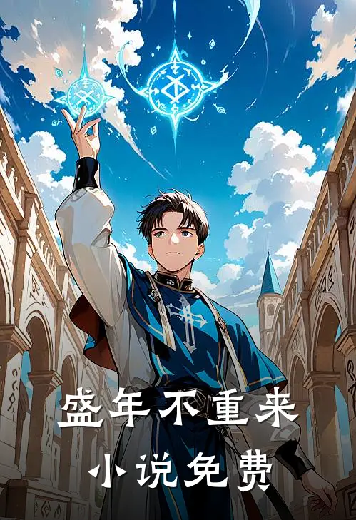 盛年不重来小说免费