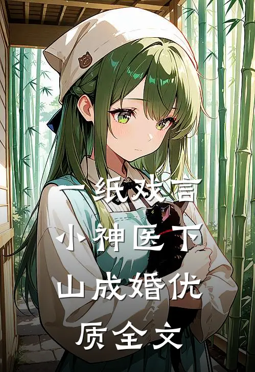 一纸戏言，小神医下山成婚优质全文