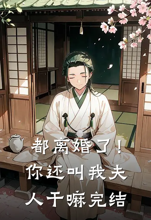 都离婚了！你还叫我夫人干嘛完结