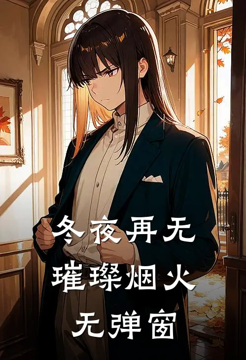 冬夜再无璀璨烟火无弹窗