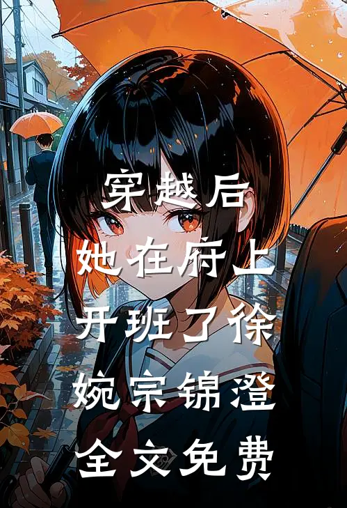 穿越后，她在府上开班了徐婉宗锦澄全文免费