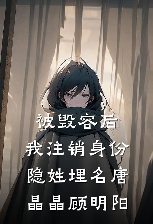 被毁容后，我注销身份隐姓埋名唐晶晶顾明阳