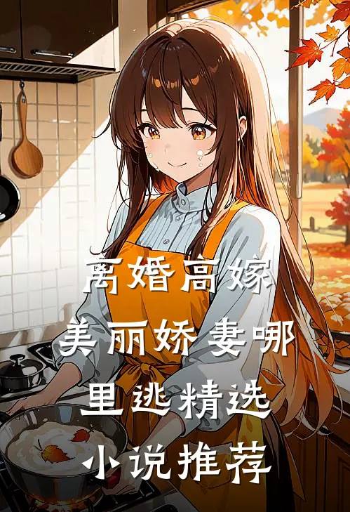离婚高嫁：美丽娇妻哪里逃精选小说推荐