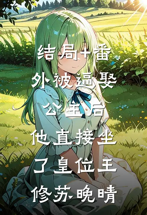 结局+番外被逼娶公主后，他直接坐了皇位王修苏晚晴