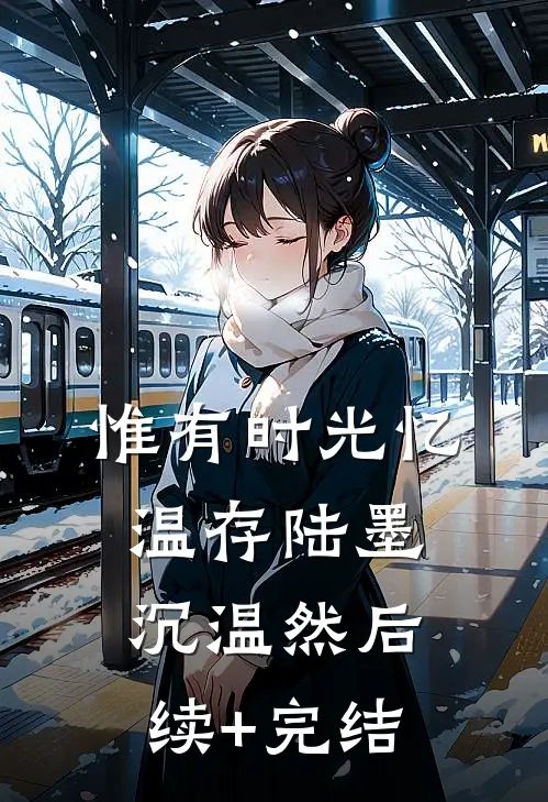 惟有时光忆温存陆墨沉温然后续+完结