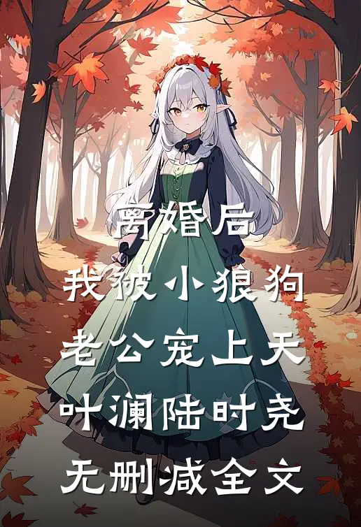 离婚后，我被小狼狗老公宠上天叶澜陆时尧无删减全文