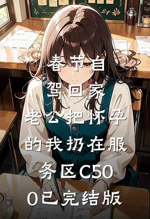 春节自驾回家，老公把怀孕的我扔在服务区C500已完结版