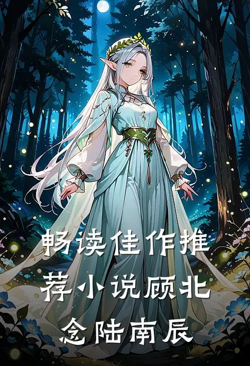 畅读佳作推荐小说顾北念陆南辰