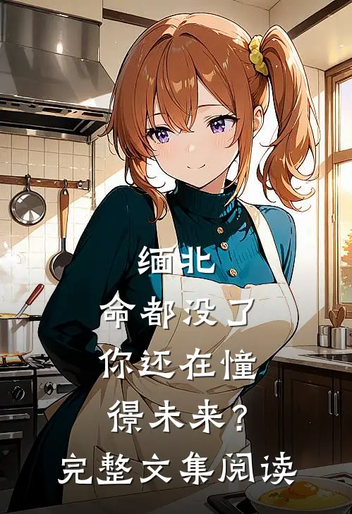 缅北：命都没了，你还在憧憬未来？完整文集阅读