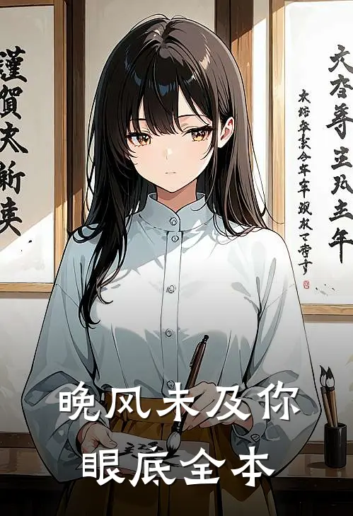 晚风未及你眼底全本