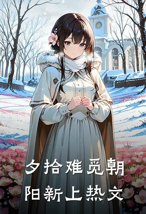 夕拾难觅朝阳新上热文