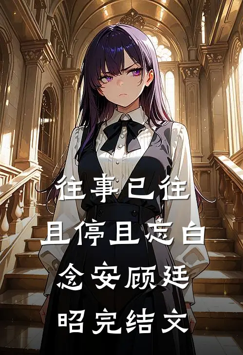 往事已往，且停且忘白念安顾廷昭完结文