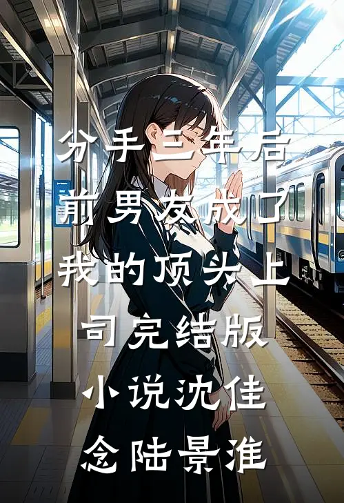 分手三年后，前男友成了我的顶头上司完结版小说沈佳念陆景淮