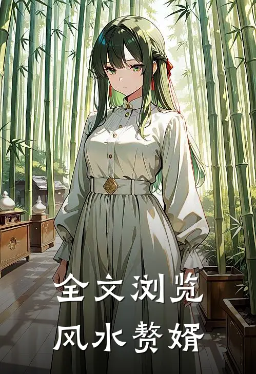 全文浏览风水赘婿