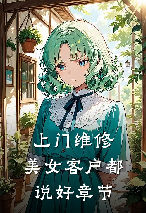 上门维修，美女客户都说好章节