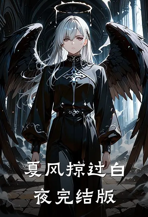 夏风掠过白夜完结版